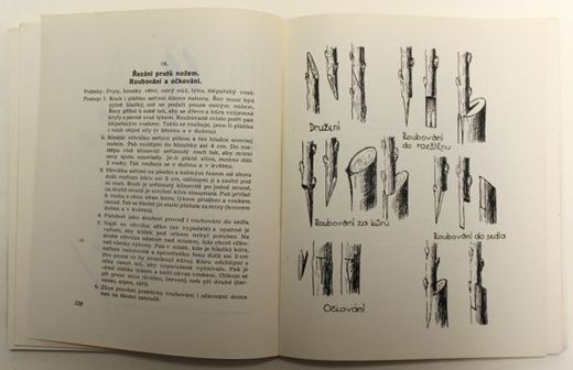 ID 1278b.JPG