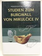 Studien zum Burgwall von Mikulčice IV